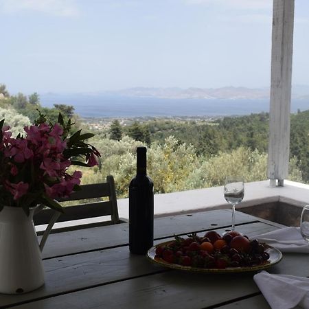 Παραδοσιακό Σπίτι Villa Asfendiou Esterno foto